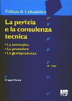PISTONE GIORGIO, Perizia e la consulenza tecnica