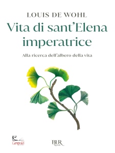 Ingrandisci immagine