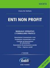 DE STEFANIS CINZIA, Enti non profit