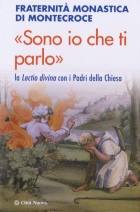 AA.VV., Sono io che ti parlo