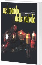 NERI NERIO, Nel mondo delle valvole