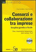 DE STEFANIS - QUERCI, Consorzi e collaborazione tra imprese