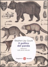 JAY GOULD, il pollice del panda