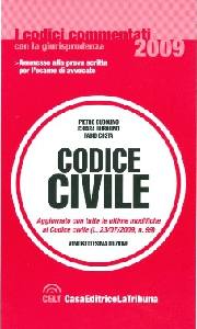 DUBOLINO - COSTA, Codice civile