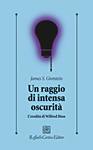 GROTSTEIN JAMES, Un raggio di intensa oscurit�
