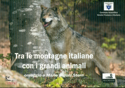 Ingrandisci immagine