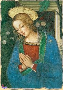 PINTURICCHIO, Nativit� 18x24