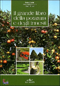 Ingrandisci immagine