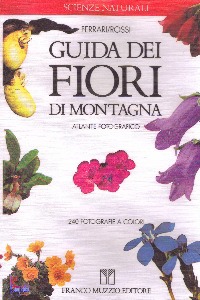 Ingrandisci immagine