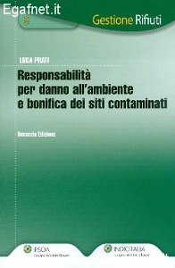 PRATI LUCA, Responsabilit� per danno all