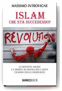 INTROVIGNE MASSIMO, Islam che sta succedendo?