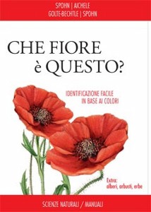 Ingrandisci immagine