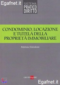 FELCIOLONI PATRIZIA, Condominio locazione tutela della propriet�