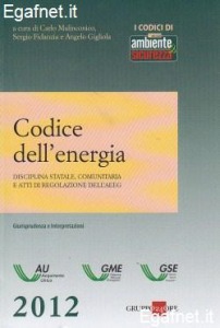 MALINCONICO FIDANZIA, Codice dell