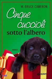 Ingrandisci immagine