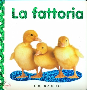 Ingrandisci immagine