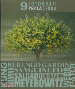 Ingrandisci immagine