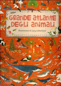 Ingrandisci immagine