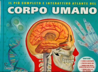 Ingrandisci immagine