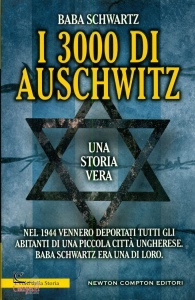 Ingrandisci immagine