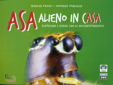 Ingrandisci immagine