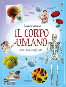 Ingrandisci immagine