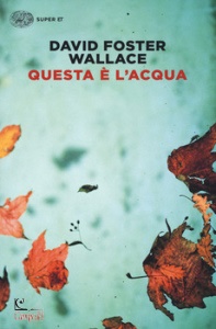 Ingrandisci immagine