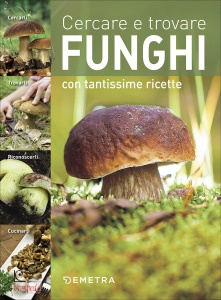 Ingrandisci immagine