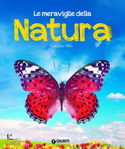 Ingrandisci immagine