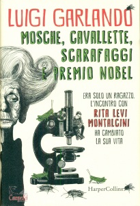 Ingrandisci immagine