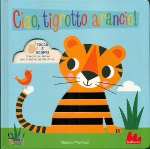 Ingrandisci immagine