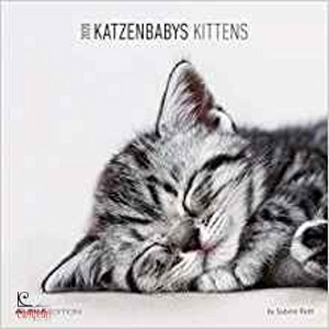 AA.VV., Calendario 2020 Katzenbabys Kittens
