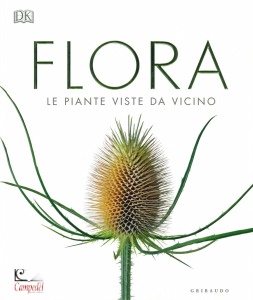 Ingrandisci immagine