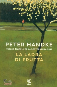 Ingrandisci immagine
