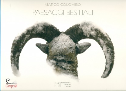 Ingrandisci immagine