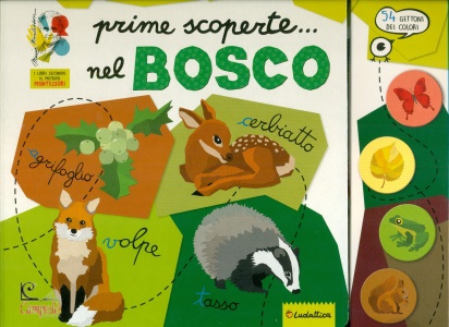 Ingrandisci immagine