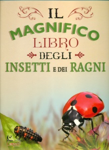 Ingrandisci immagine