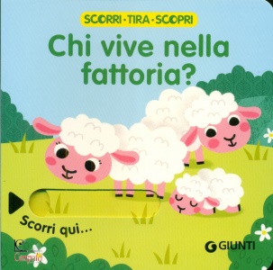 Ingrandisci immagine