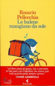 Ingrandisci immagine