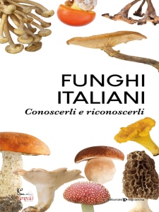 Ingrandisci immagine