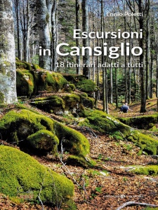 Ingrandisci immagine