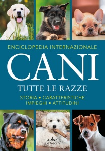 Ingrandisci immagine