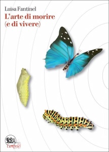Ingrandisci immagine