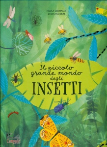 Ingrandisci immagine