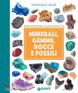 Ingrandisci immagine