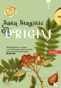 Ingrandisci immagine