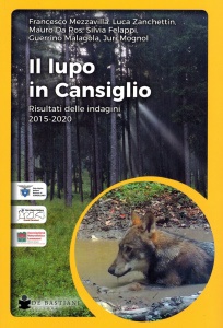 Ingrandisci immagine