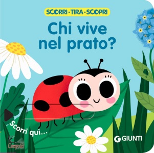 Ingrandisci immagine
