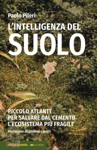 Ingrandisci immagine