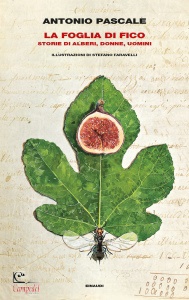 Ingrandisci immagine